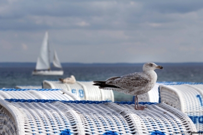 Ostsee Urlaubszeit